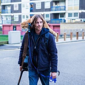 Fotoğraf Sokak Kedisi Bob