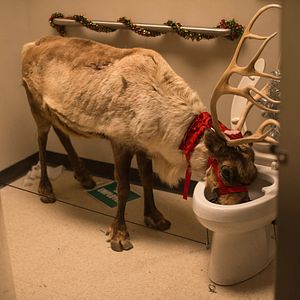 Fotoğraf Çılgın Ofis Partisi