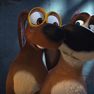 Fotoğraf Tüylü Kaçak