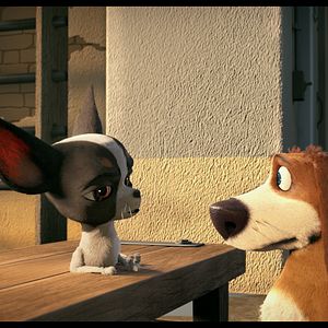 Fotoğraf Tüylü Kaçak