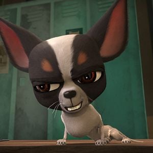 Fotoğraf Tüylü Kaçak