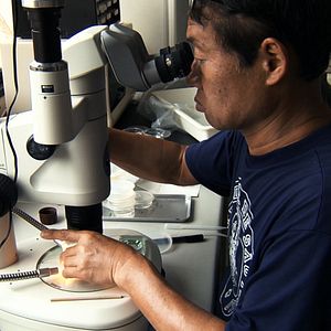 Fotoğraf Spira Mirabilis