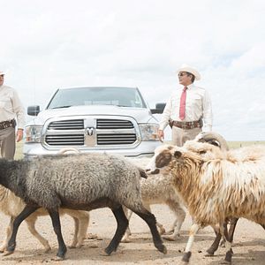 Fotoğraf İki Eli Kanda