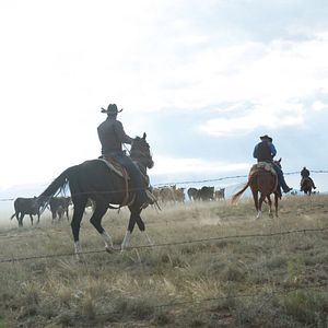 Fotoğraf İki Eli Kanda
