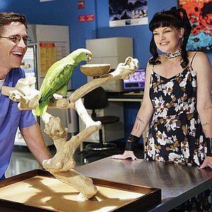 Fotoğraf Pauley Perrette