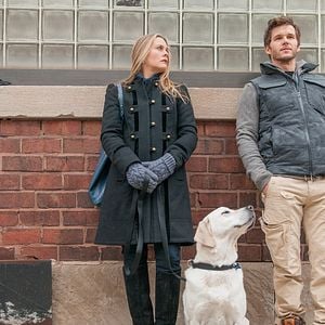 Fotoğraf Alicia Silverstone