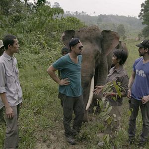 Fotoğraf Tufandan Önce