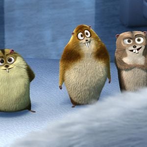 Fotoğraf Karlar Kralı Norm