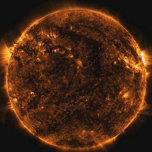 Fotoğraf Lo And Behold, Reveries Of The Connected World