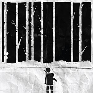 Fotoğraf Nieve negra