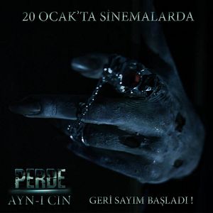 Fotoğraf Perde Ayn-ı Cin