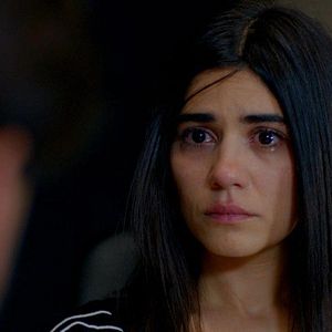 Fotoğraf Seviyor Sevmiyor