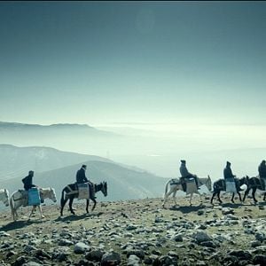 Fotoğraf Siyah Karga