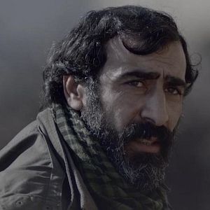 Fotoğraf Siyah Karga