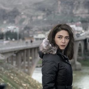 Fotoğraf Siyah Karga