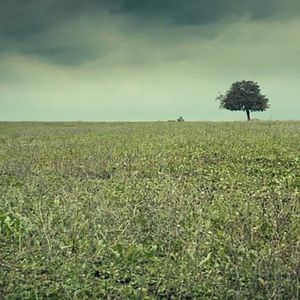 Fotoğraf Kırıntılar