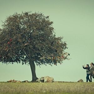 Fotoğraf Kırıntılar