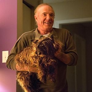 Fotoğraf Hamileler Diyarı