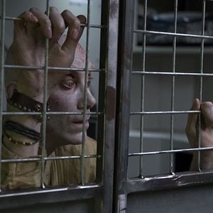 Fotoğraf Stephen Merchant