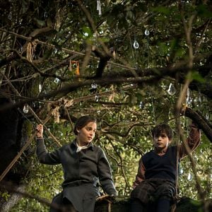 Fotoğraf Voice From the Stone