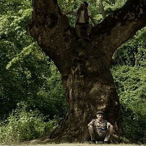 Fotoğraf Son Kuşlar