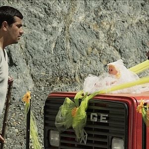 Fotoğraf Son Kuşlar