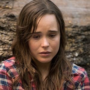 Fotoğraf Into the Forest