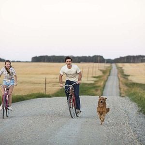 Fotoğraf Can Dostum