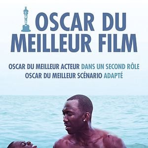 Fotoğraf Ay Işığı