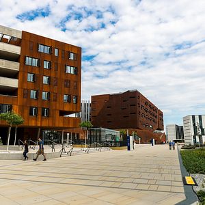 Fotoğraf Aklın Gözü