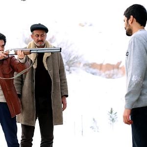 Fotoğraf Kırlangıç Fırtınası