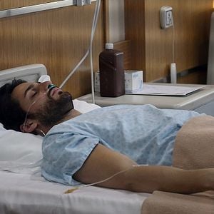 Fotoğraf Kırlangıç Fırtınası