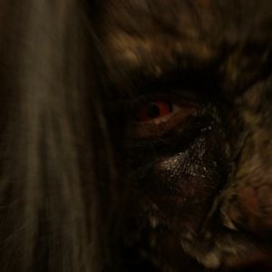 Fotoğraf Bezm-i Ezel