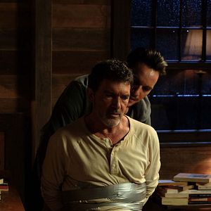 Fotoğraf Black Butterfly