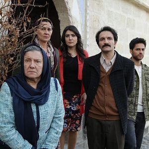 Fotoğraf Kırlangıç Fırtınası