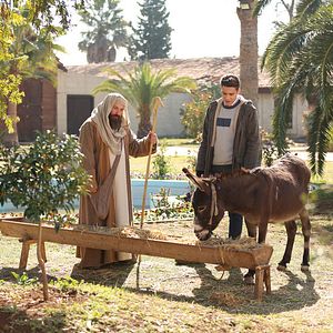 Fotoğraf Yeni Gelin