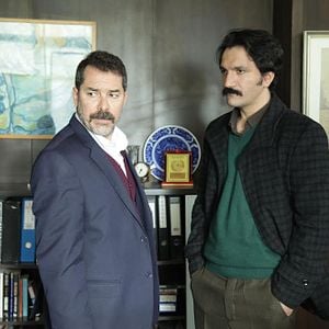 Fotoğraf Kırlangıç Fırtınası