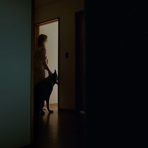 Fotoğraf Korku Tüneli