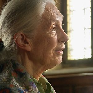 Fotoğraf Jane Goodall