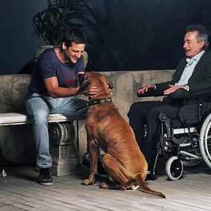 Fotoğraf Inseparables