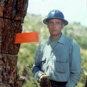 Fotoğraf Paul Newman