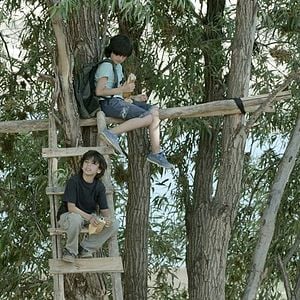 Fotoğraf Emircan Çal