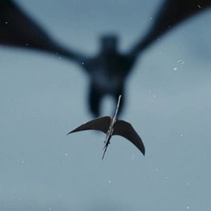 Fotoğraf On - Drakon