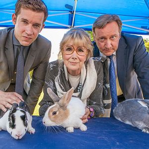 Fotoğraf Neil Dudgeon