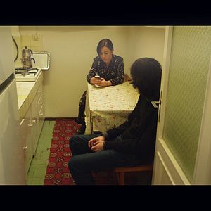 Fotoğraf Ağustos Böcekleri ve Karıncalar