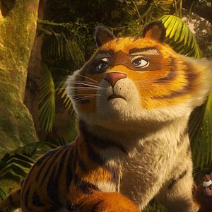 Fotoğraf Orman Çetesi