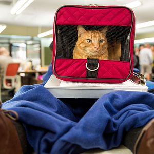 Fotoğraf Blunt Talk