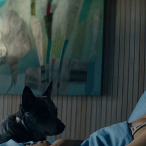 Fotoğraf Los perros