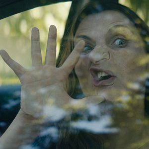 Fotoğraf Los perros