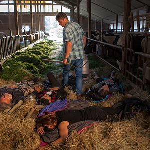 Fotoğraf Roman Knižka